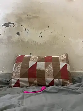 poision51 online show from 11.06.25