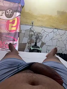 GordoSafadinho online show from 01.29.25