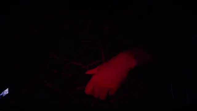 Snapshot of contemptumundi888 chatting on 02.11.25 contemptumundi888 online show from 02.11.25