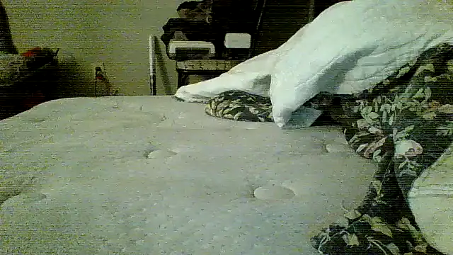 Jay81 online show from 01.19.26