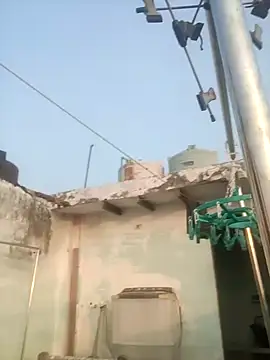 sailord online show from 01.29.25