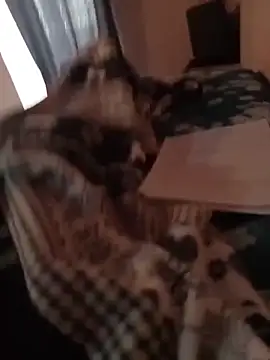 Snapshot of MrTamburine22 chatting on 02.27.26 MrTamburine22 online show from 02.27.26