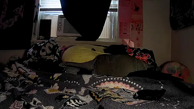 Snapshot of ATwinkie chatting on 10.08.25 ATwinkie online show from 10.08.25