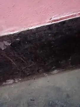 ScopalOr online show from 02.03.25