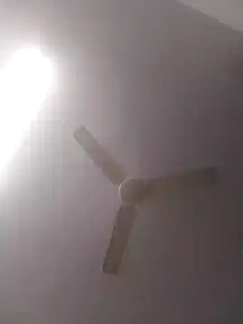 jenilmax online show from 12.16.24