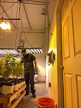 jr91esl online show from 03.02.25