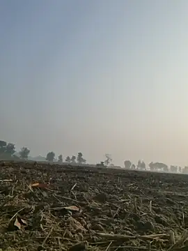 Snapshot of imissyoumylove14 chatting on 12.10.24 imissyoumylove14 online show from 12.10.24