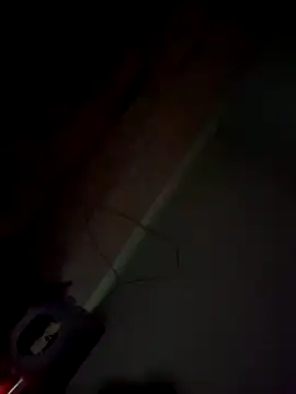 Snapshot of imissyoumylove14 chatting on 01.21.25 imissyoumylove14 online show from 01.21.25