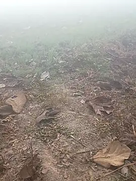 Snapshot of imissyoumylove14 chatting on 01.17.26 imissyoumylove14 online show from 01.17.26