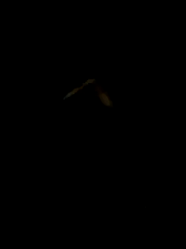 DaWoD030 online show from 01.19.25