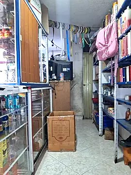 nidia2026 online show from 02.14.26