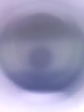 Snapshot of Lorrain_Dorrie chatting on 01.28.25 Lorrain Dorrie online show from 01.28.25