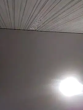 Snapshot of Lorrain_Dorrie chatting on 12.02.25 Lorrain Dorrie online show from 12.02.25