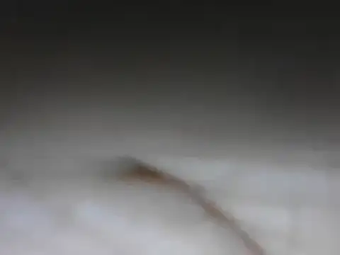 Snapshot of samee00721 chatting on 01.24.25 samee00721 online show from 01.24.25