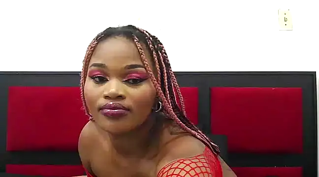 Catalia404 online show from 12.20.24