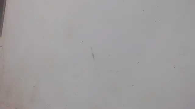 danilo302209 online show from 02.01.25