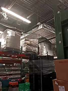 kobrashekyng online show from 09.30.25