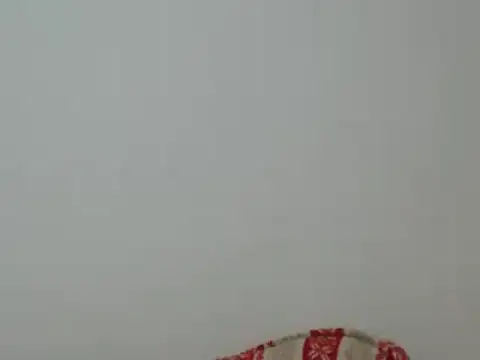 Snapshot of Hannabeckboobs chatting on 12.24.24 Hannabeckboobs online show from 12.24.24