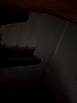 69woodinson online show from 11.13.25