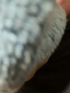 edgher646 online show from 02.27.26