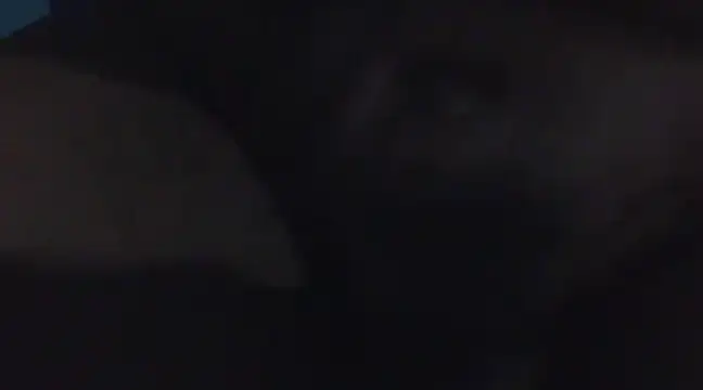 Penis58 online show from 12.16.24