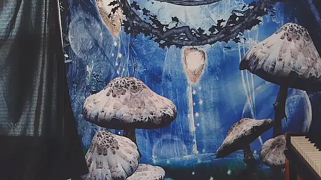  hellostormy  online show from 02.16.26