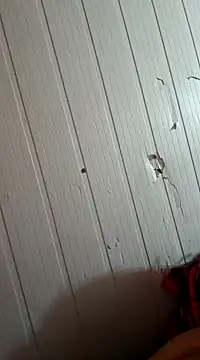 frotasso online show from 01.01.25