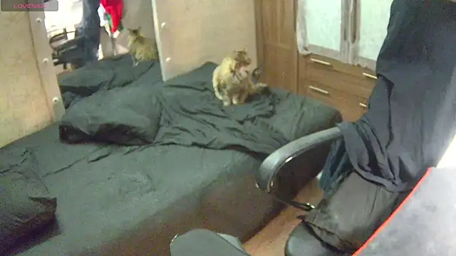 Julia dolls online show from 12.14.24