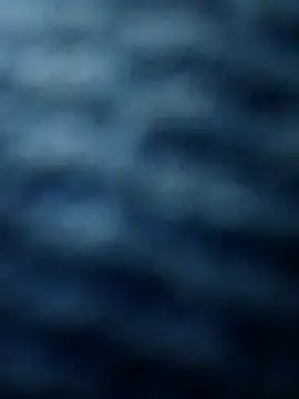 Pretordr online show from 03.13.25