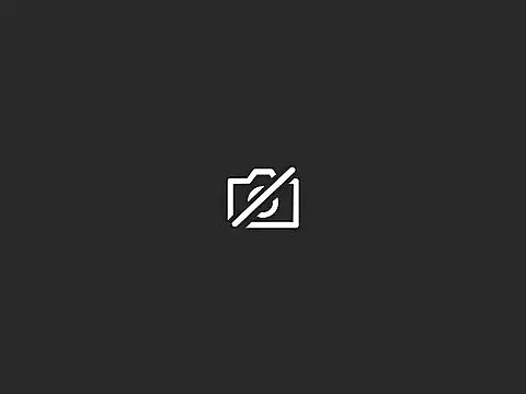 Bombi22 online show from 12.15.24