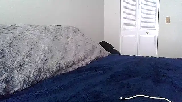 tendertormentt online show from 02.24.26