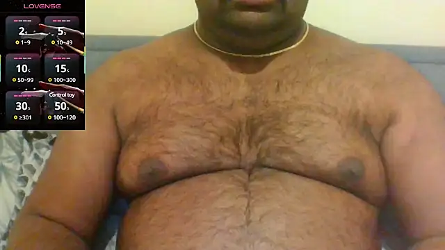 indianbearbot online show from 01.30.25