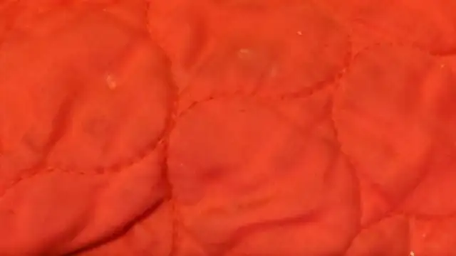 Snapshot of Huntzg23 chatting on 11.28.25 Huntzg23 online show from 11.28.25