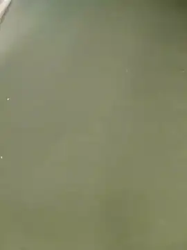 Miss balloonsmila online show from 01.22.25