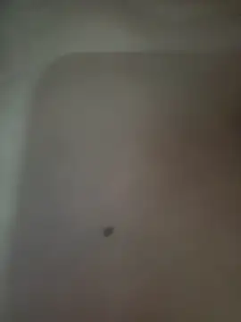 Snapshot of Akhi_Akshaya chatting on 01.06.25 Akhi Akshaya online show from 01.06.25