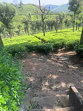 Hillz king 98 online show from 02.28.25