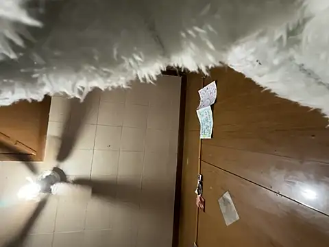 carmelbbyx22 online show from 03.29.26