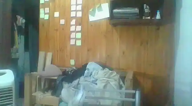 italianbighorse22 online show from 01.02.25