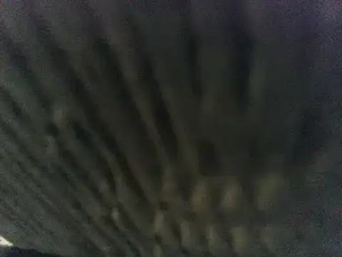 party51502 online show from 03.08.25