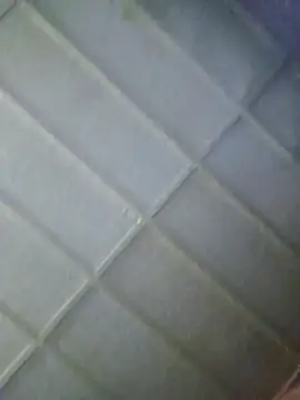 zaneporter46 online show from 02.05.26