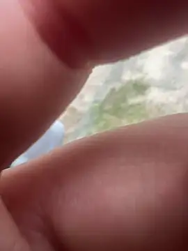 Casadadelicia26 online show from 03.19.26