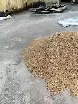 Snapshot of sweet_suman chatting on 01.18.25 sweet suman online show from 01.18.25