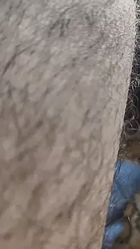 Snapshot of niyack69 chatting on 01.31.26 niyack69 online show from 01.31.26