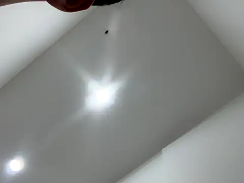 Sexocokin online show from 12.16.25