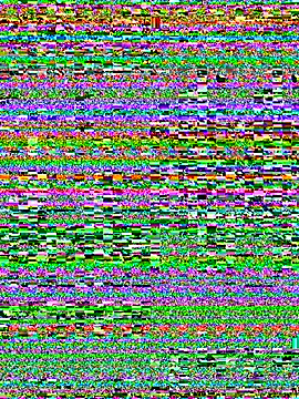 gamdschie49 online show from 12.14.25