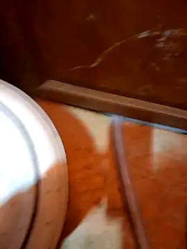 Snapshot of javierpasteur69 chatting on 10.30.25 javierpasteur69 online show from 10.30.25