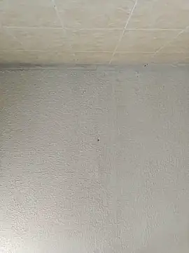 boobsTaylor online show from 09.21.25