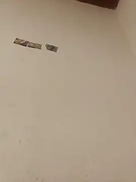 boobsTaylor online show from 10.03.25