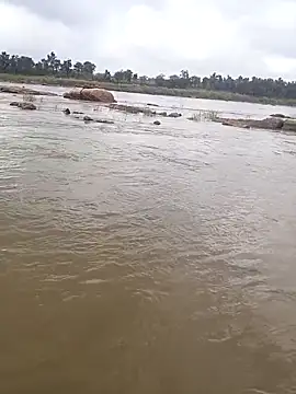 aryan 8051 online show from 10.29.25