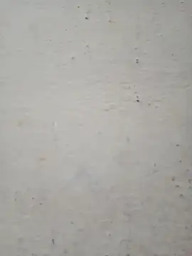 Pooja cut online show from 12.17.25